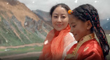 亚洲丁香花色